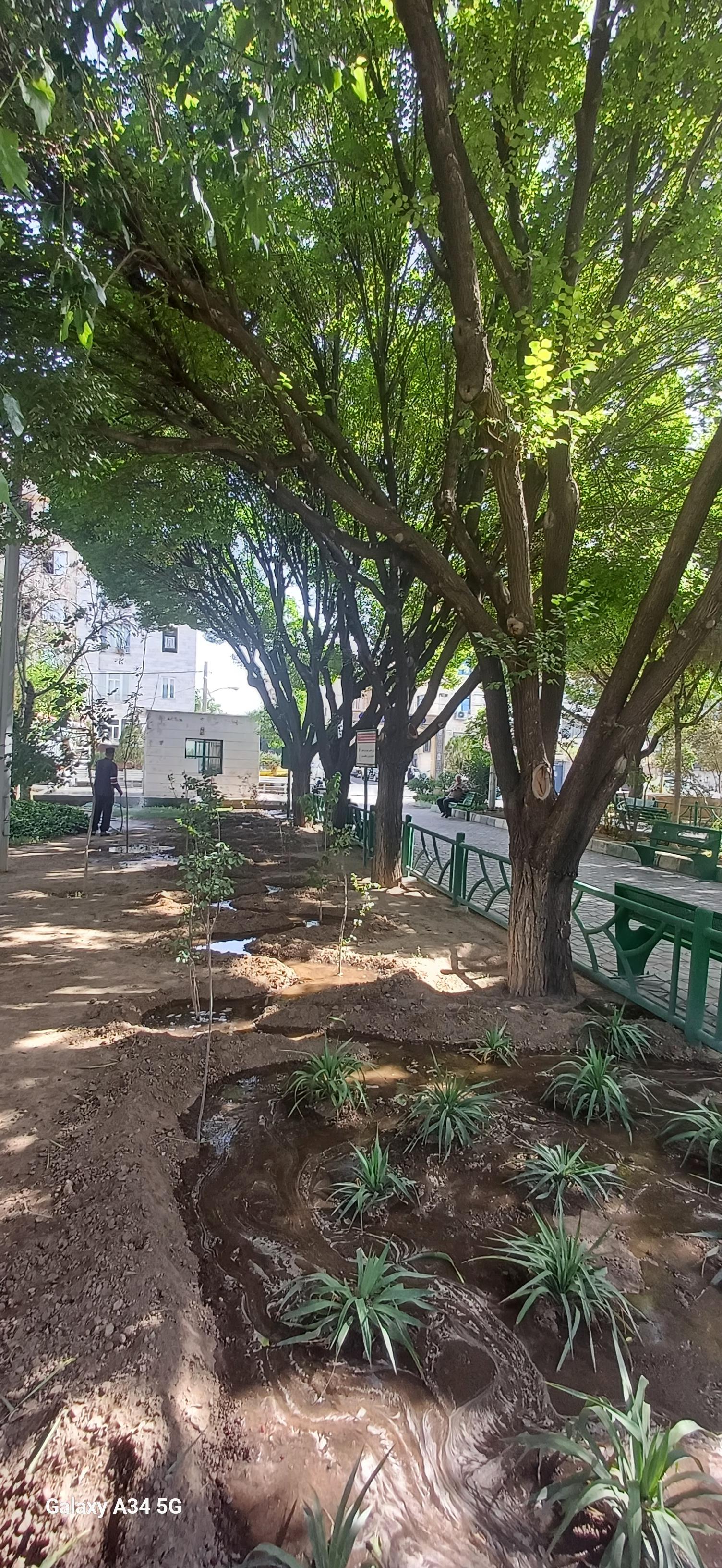 عکس بوستان شهدای گمنام