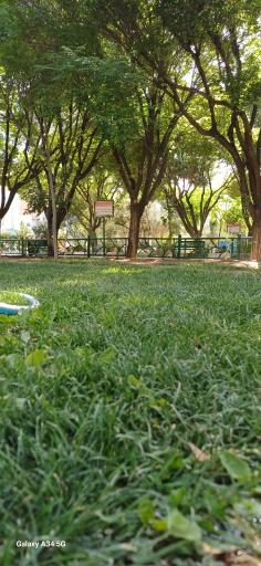 عکس بوستان شهدای گمنام