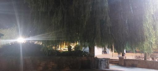 عکس بوستان بنادر