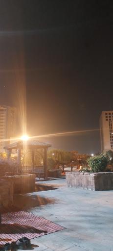 عکس بوستان بنادر