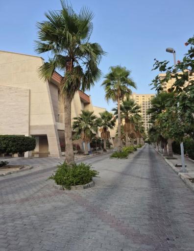 عکس رویای کیش