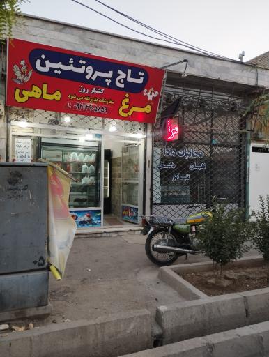 عکس تاج پروتئین 