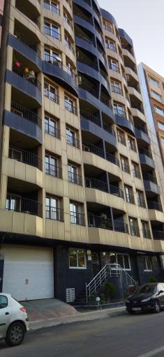 مجتمع کاملیا 9