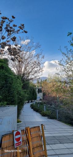 عکس بوستان بنادر