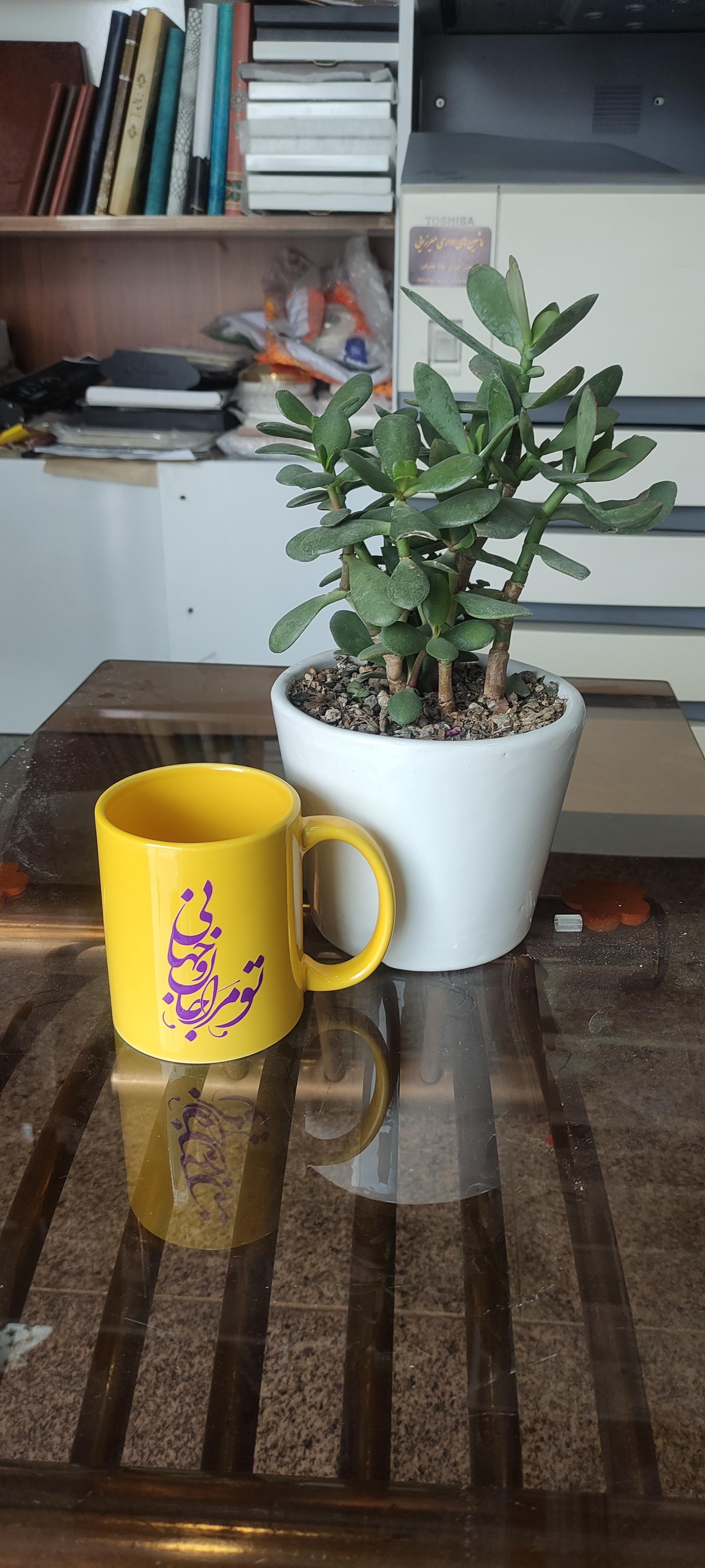 عکس چاپ دیجیتال ترنج 