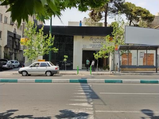 عکس بهارشیراز