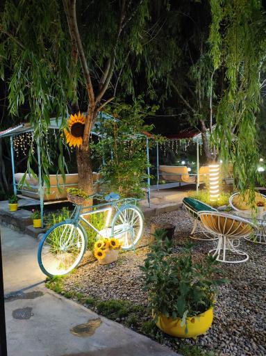 عکس کافه کلبه آفتابگردون 