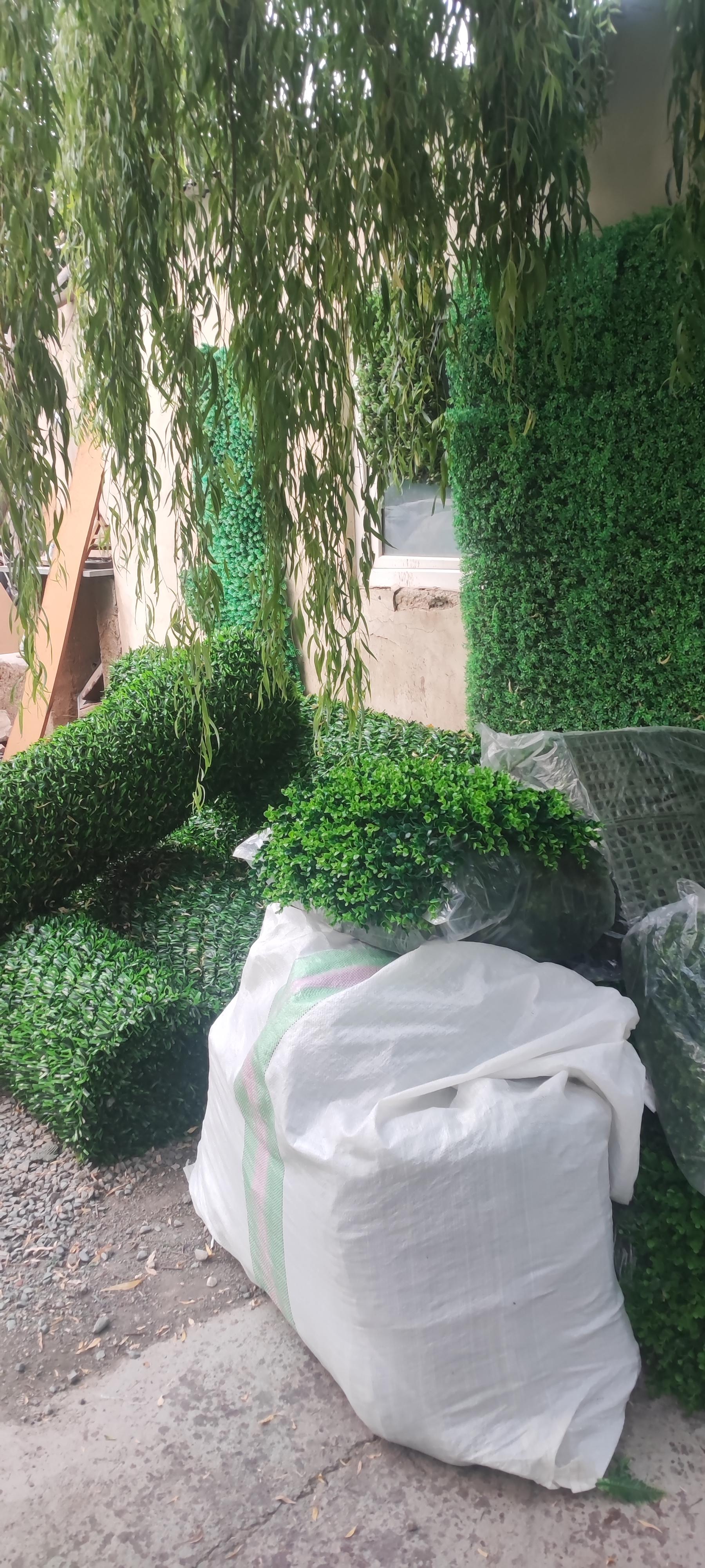 عکس چمن مصنوعی و گرین وال چمن تهران