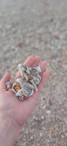 عکس بندر هنگام