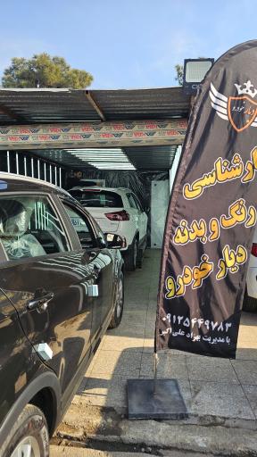 عکس کارشناسی دیار خودرو