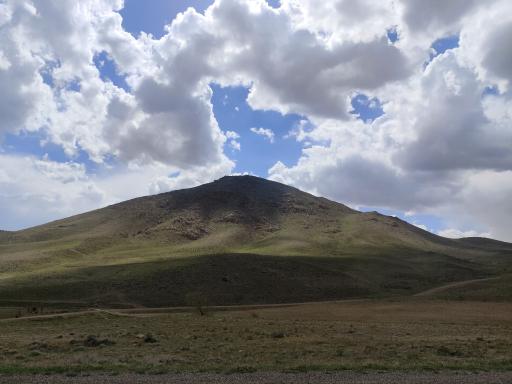 علنقیه