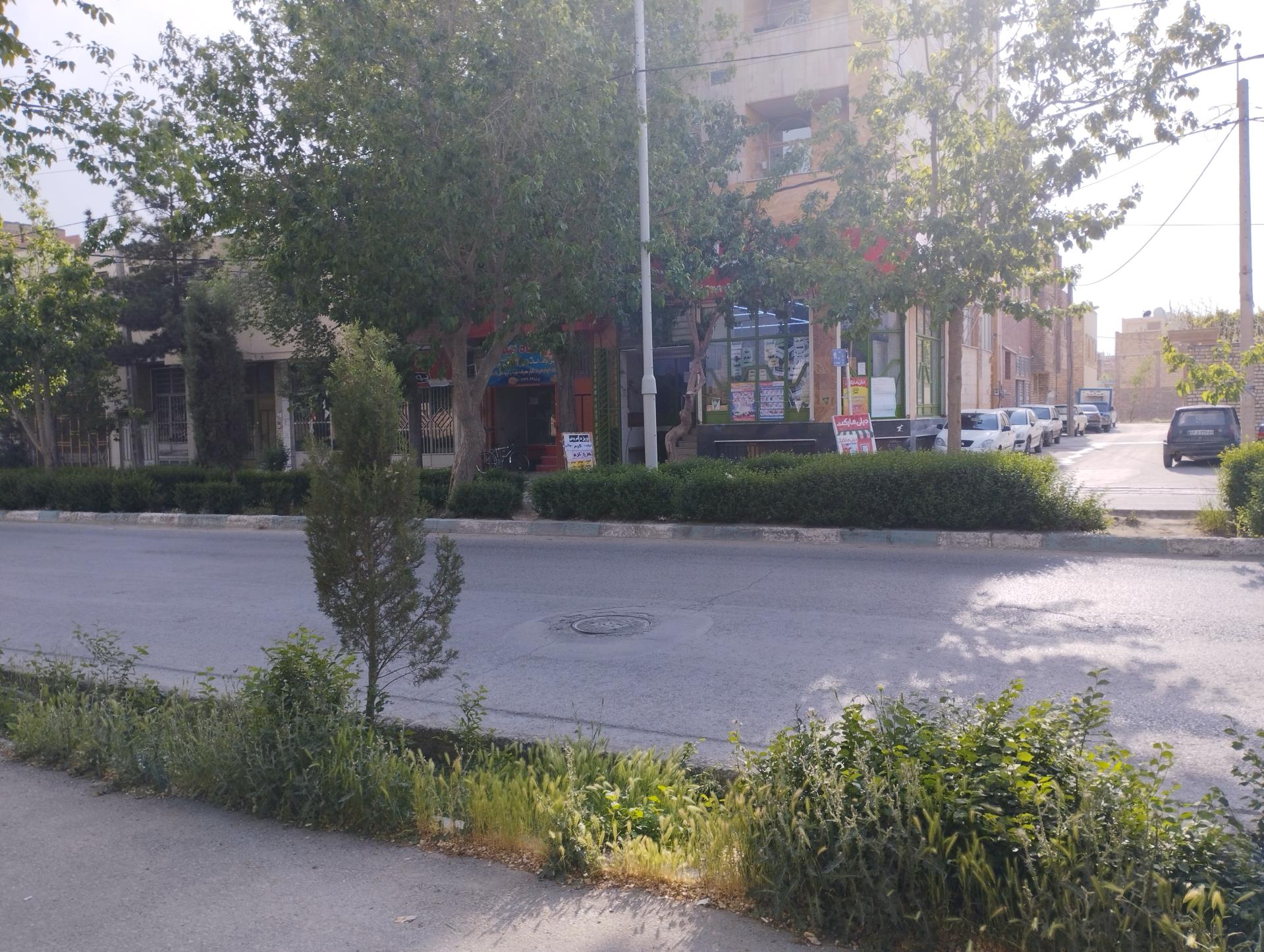 عکس دیلی مارکت شعبه جروکان