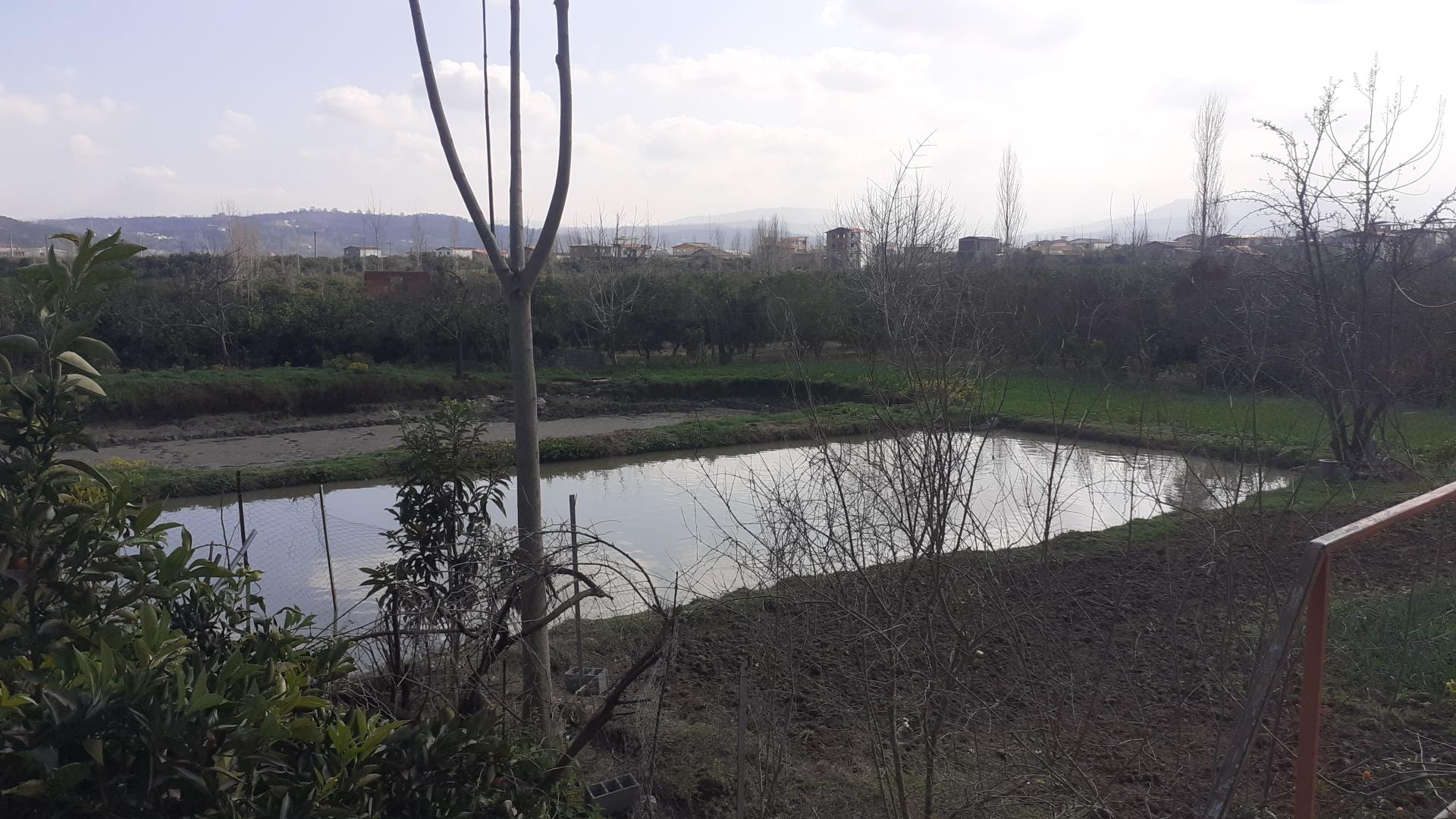 عکس پرورش ماهی فتاحی