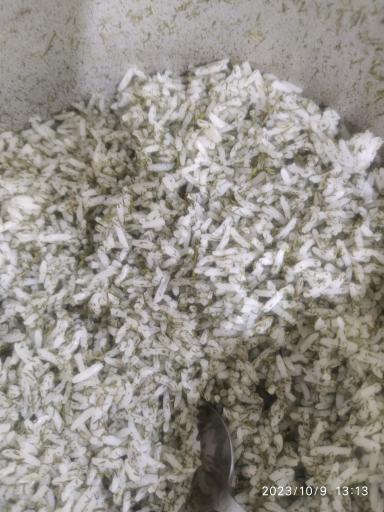 عکس آشپزخانه زیتون