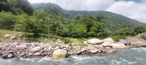 عکس سرواش پشته