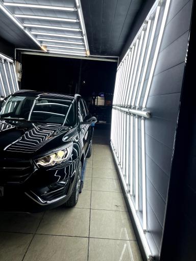 تشخیص رنگ علی