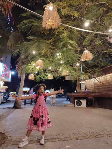 عکس لبنان شاورما