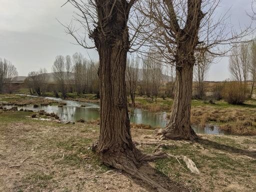 عکس ورق
