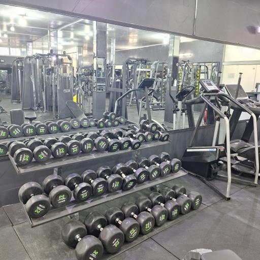 عکس آکادمی پرورش اندام وحید