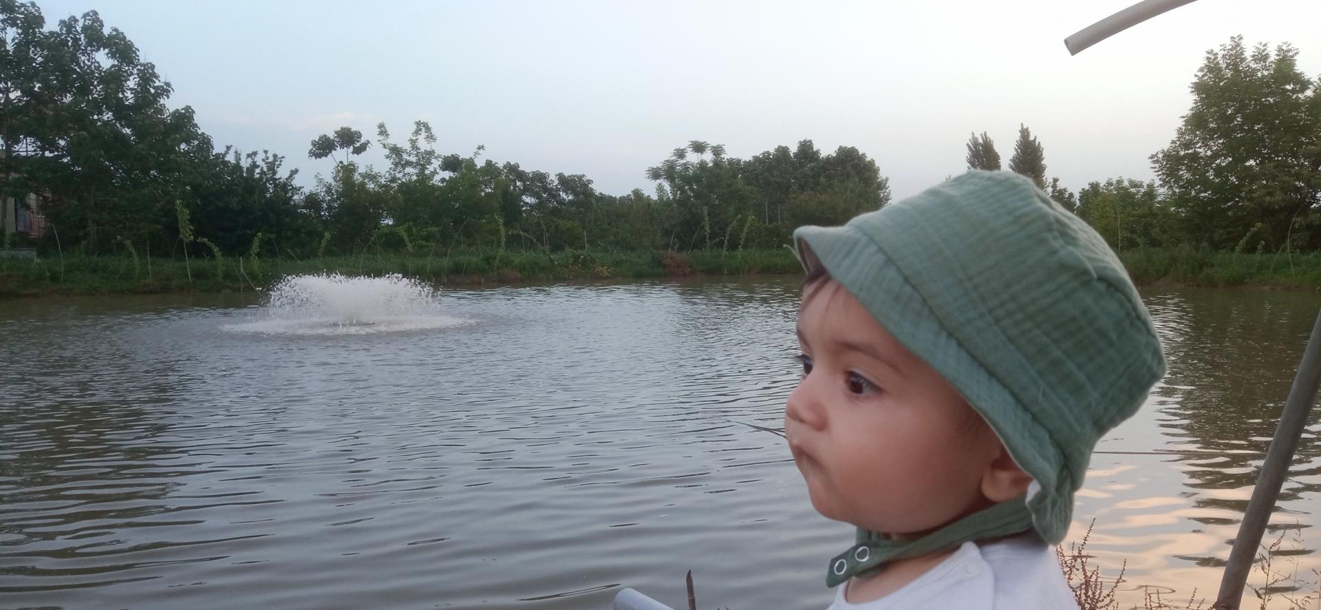 عکس پرورش ماهی فتاحی