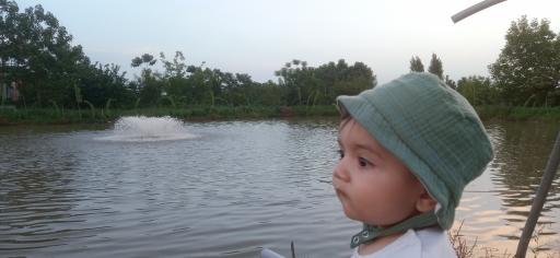 عکس پرورش ماهی فتاحی