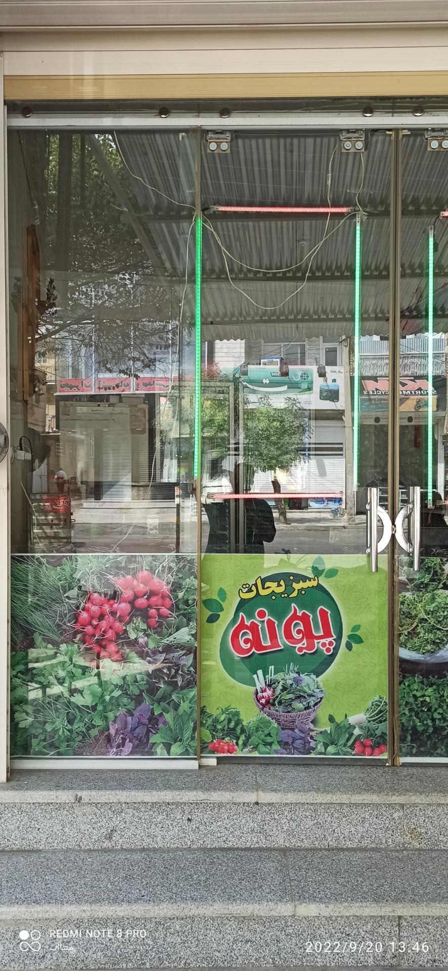 عکس سبزیجات پونه 