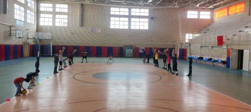 عکس سالن ورزشی ولایت