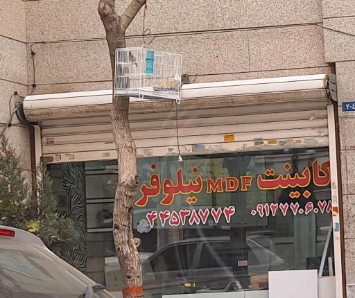 عکس کابینت نیلوفر