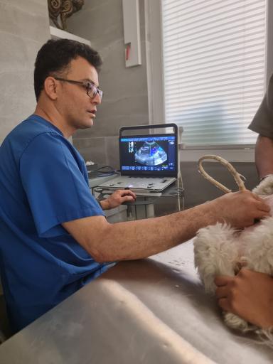 عکس مرکز تصویربرداری دامپزشکی تابش 