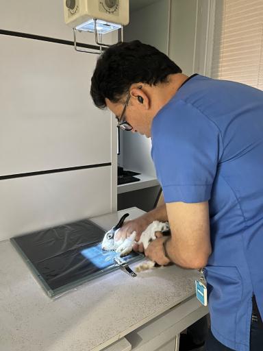 عکس مرکز تصویربرداری دامپزشکی تابش 