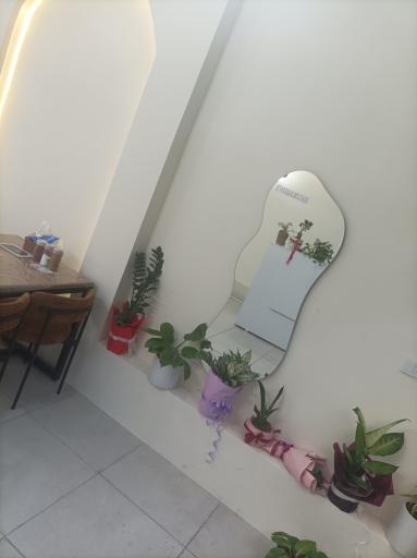 عکس کته کبابی مجتبی