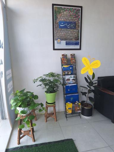 عکس به گستر نوین