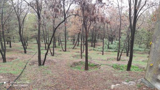 عکس پارک جنگلی صائب تبریزی