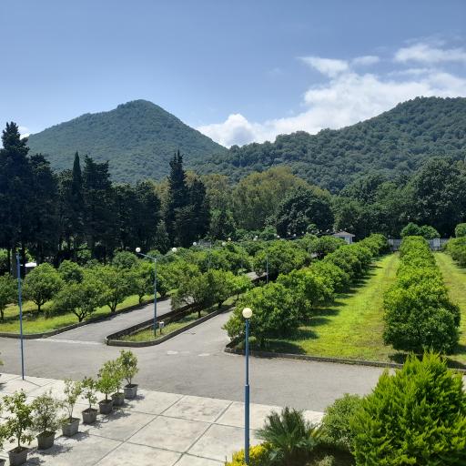 عکس پژوهشکده مرکبات و میوه های نیمه گرمسیری