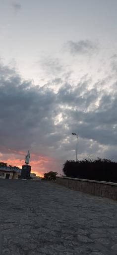 عکس پارک جنگلی صائب تبریزی