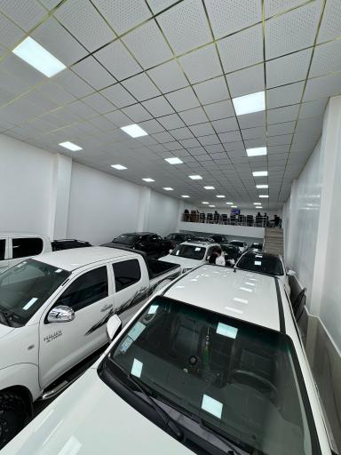 عکس اتو ویرا