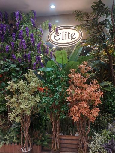 عکس گالری الیت