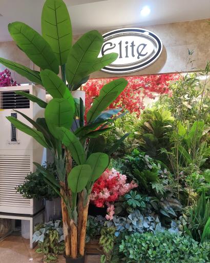 عکس گالری الیت