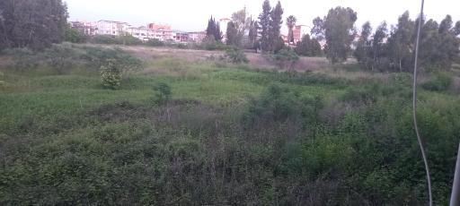 عکس کارخانه قدیمی حریر قائمشهر