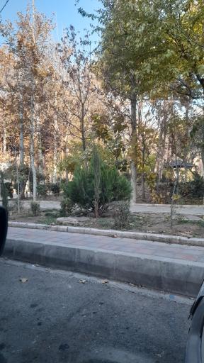 عکس بوستان مجیدیه