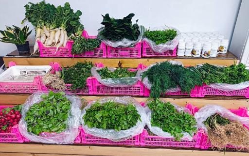 عکس میوه سرای سید