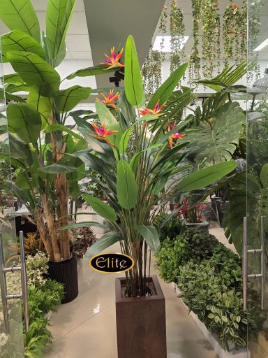 عکس گالری الیت