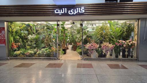 عکس گالری الیت