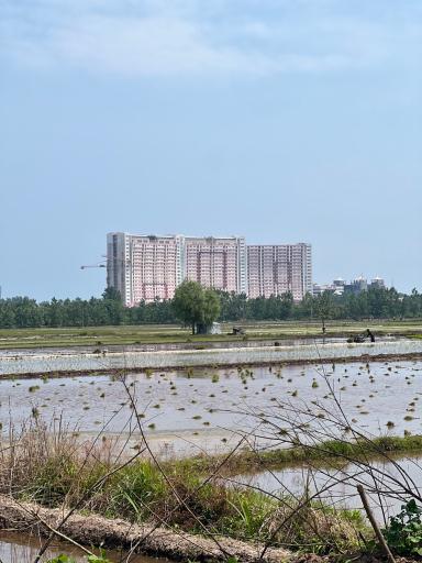 عکس برج های مسکونی طاوس