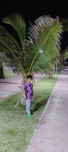 عکس ساحل و پارک سنگ سیاه شهرستان جاسک