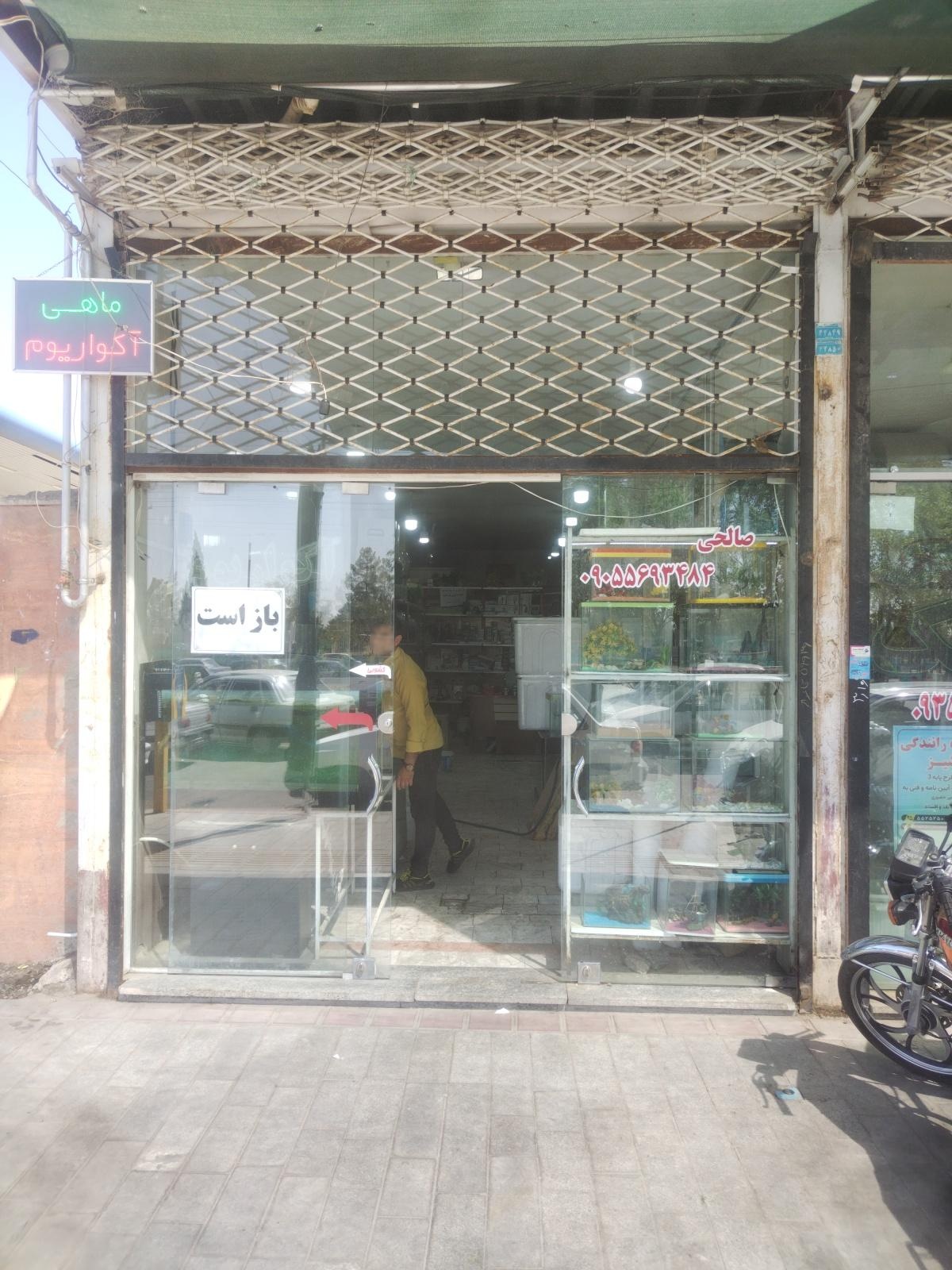 عکس آکواریوم دلفین 