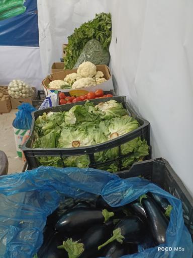 عکس میوه فروشی حاراشاپ 