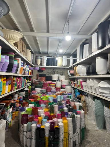 عکس گلدانتو شعبه ستاری