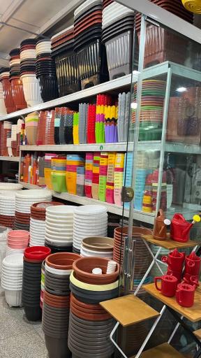 عکس گلدانتو شعبه ستاری