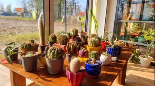 عکس کافه بومیت